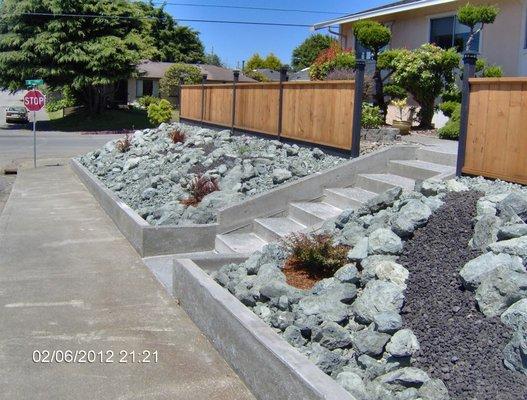 Luscious Landscaping