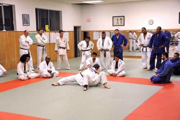 Hollywood Judo Dojo