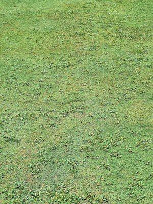 Andrew Johnson Golf Club