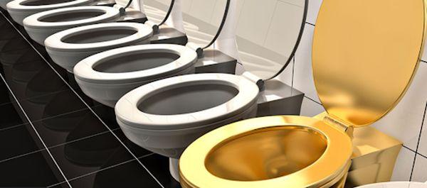 WaterHouse Toilet Repair