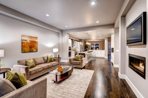 Modern Family Room