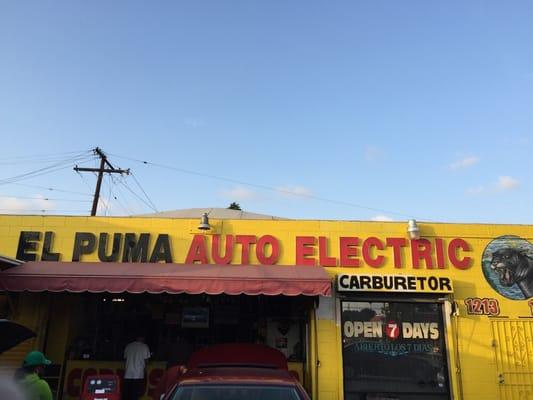 El Puma Electrico