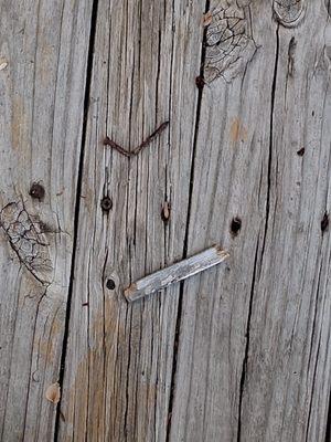 nails and debris left on deck