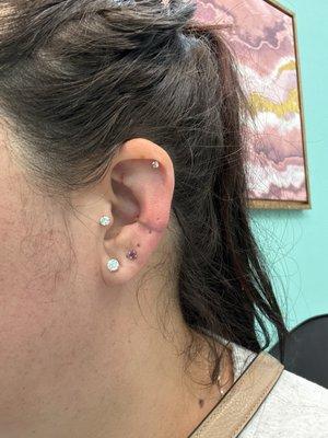 Bloody Wolf Tattoo Supply