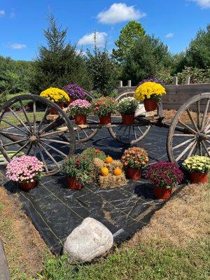 Country Market & Greenhouse