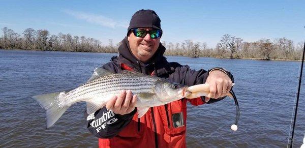 Baldheaded Bobby Guide Service