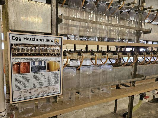 Gavin's Point National Fish Hatchery