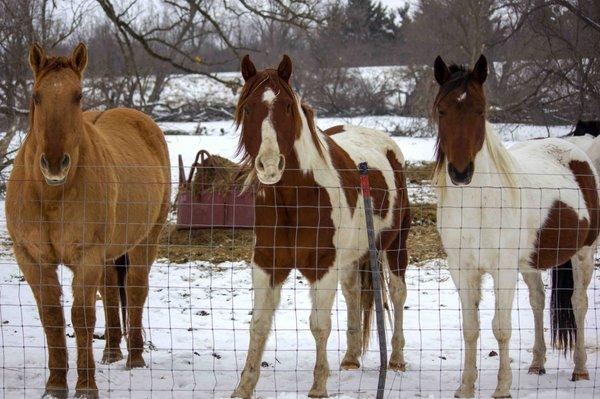 South Timber Creek Ranch