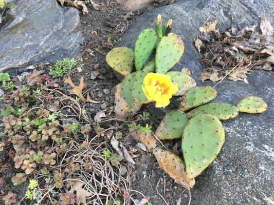 Even thorny issues can be beautifully resolved.