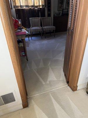 All City Carpet Cleaning