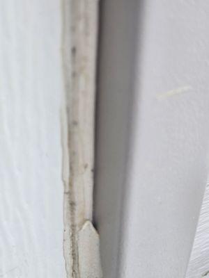 Foster's Exterior Solutions