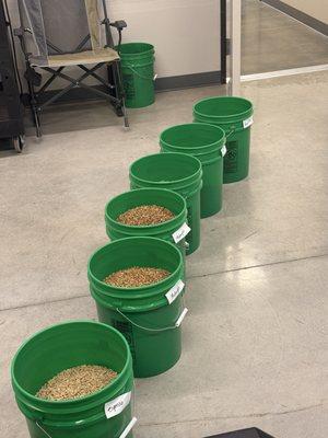 Thursday roasting process