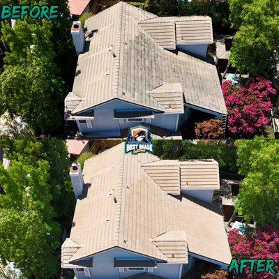 Best Image Soft Wash