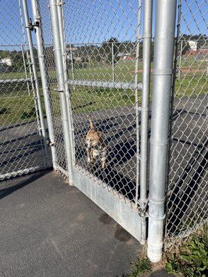 Buri Buri Elementary School