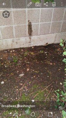 Plymouth Housing Group