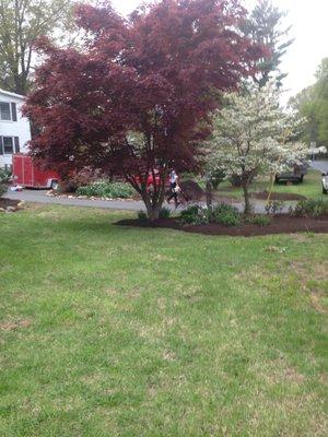 Landscaping in progress