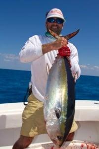Black Fin Tuna