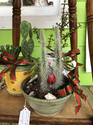 Affordable cactcus arrangements