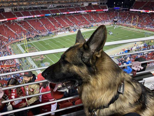 Earl's Lakeshore Auto