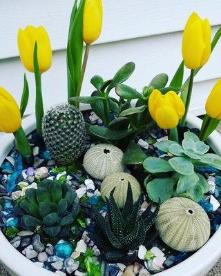 Blossom Floral Design