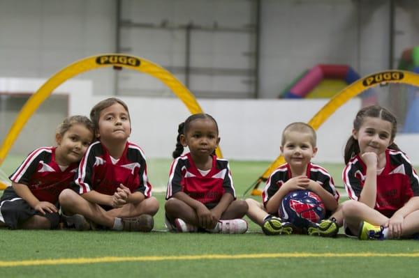 Silverbacks Indoor