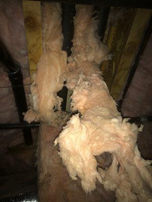 All Seasons Home Inspector