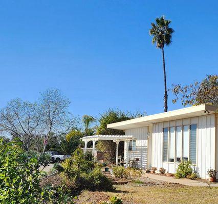 I&L Tree Service and Landscape