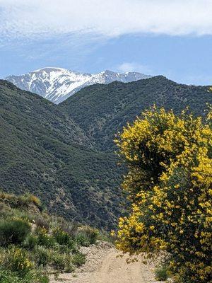 Shoemaker Canyon Road Hiking Trail