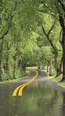 Eastern Flank Battle Field Park