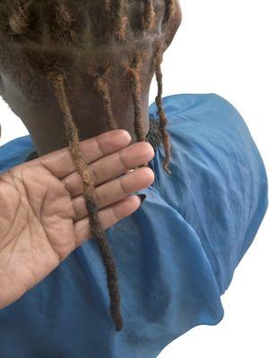Grooming and adding Locs