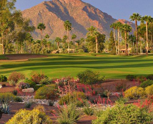 Adreanne Harris - Realty One Group Phoenix