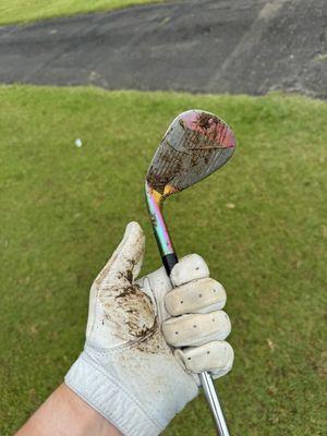 When it rains, it pours. The greens, fairways, and rough seem to be pure green muck.
