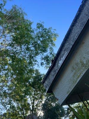 Knuckleheads Tree Service