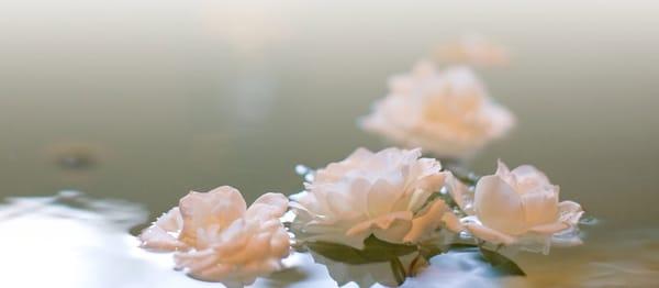 Using essential oils can be very beneficial to the body, and we are trained to use them for all individuals.