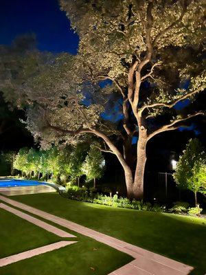 Blooming Colors Nursery