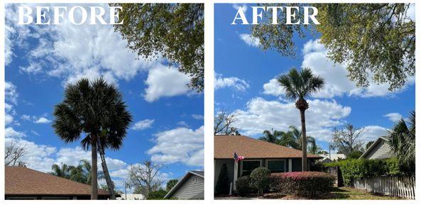 Amazing Grace Landscaping