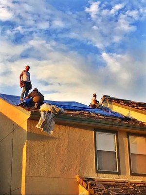 Goliath Building Services