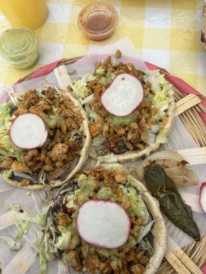 La Jacaranda Oaxaquena