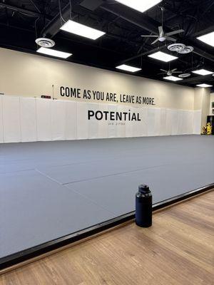 Potential Jiu Jitsu