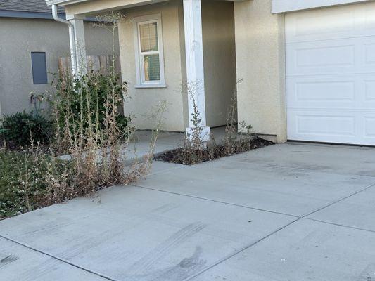 John T Altstatt, Realtor