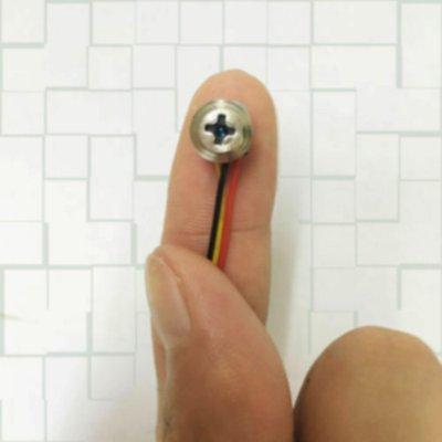 found in our light fixture install by Strom. It is disguised as a screw. Creepy!