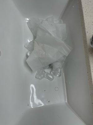 The nastiness in the sink that wasn't ours