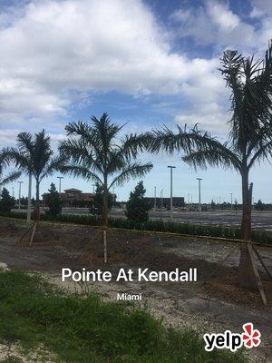 Pointe At Kendall