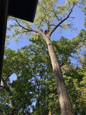 Civilized Enterprises