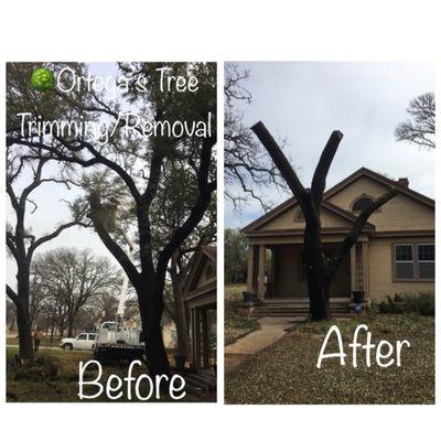 Ortega's Lawn and Landscaping