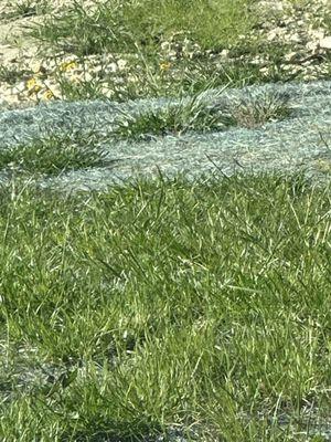 Family First Healthcare