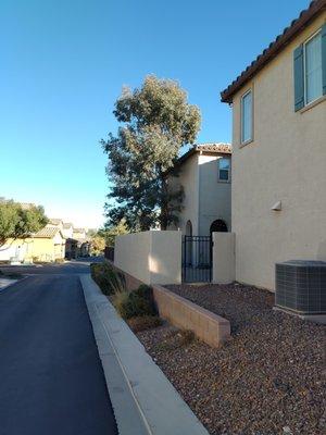 Got Lawn? Tree & Turf Care