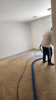 Andy's Carpet Cleaning