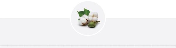 Organic Cotton