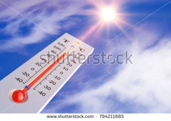 Due to extreme temps (& more extreme heat indexes,) we'll be closed until Tuesday. Open regular hours 4 July. Stay hydrated & Happy Reading!